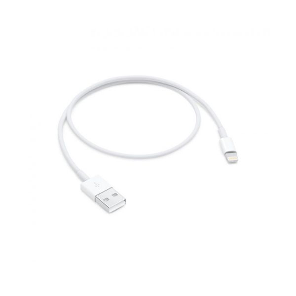 Εικόνα της Lightning to USB Cable (0.5 m)