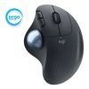 Picture of Mouse Logitech Ergo M575