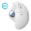 Picture of Mouse Logitech Ergo M575